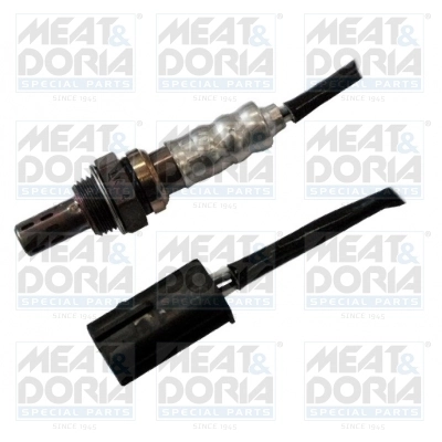 Oxygen Sensor